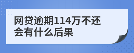 网贷逾期114万不还会有什么后果