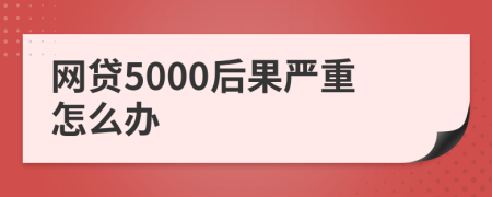 网贷5000后果严重怎么办