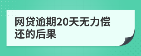 网贷逾期20天无力偿还的后果