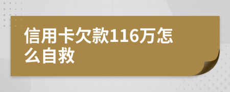 信用卡欠款116万怎么自救