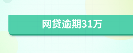 网贷逾期31万