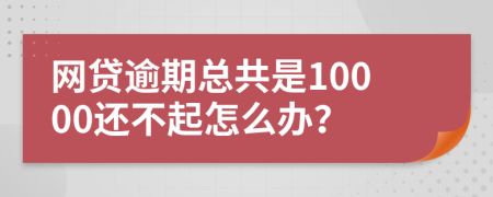 网贷逾期总共是10000还不起怎么办？