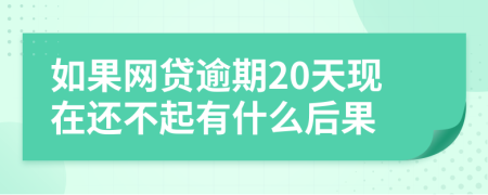 如果网贷逾期20天现在还不起有什么后果