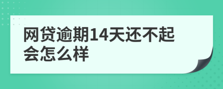 网贷逾期14天还不起会怎么样