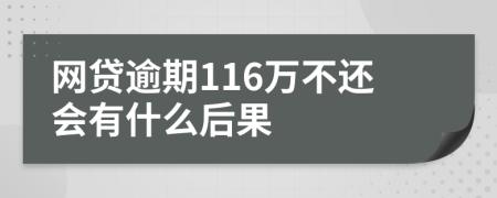 网贷逾期116万不还会有什么后果