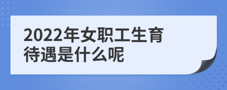 2022年女职工生育待遇是什么呢