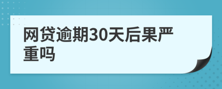 网贷逾期30天后果严重吗