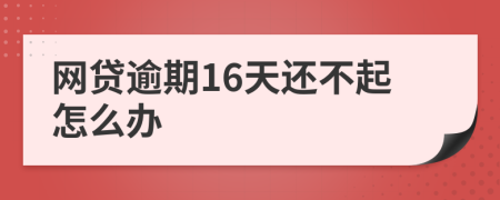 网贷逾期16天还不起怎么办