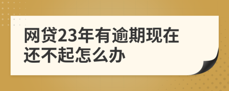 网贷23年有逾期现在还不起怎么办