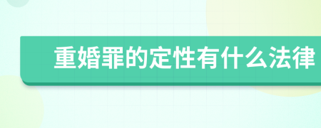 重婚罪的定性有什么法律