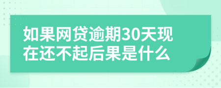 如果网贷逾期30天现在还不起后果是什么