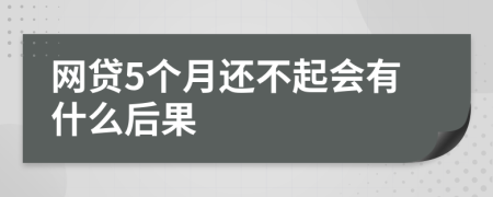 网贷5个月还不起会有什么后果