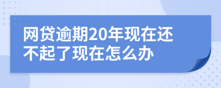 网贷逾期20年现在还不起了现在怎么办