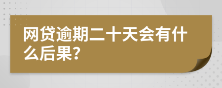 网贷逾期二十天会有什么后果？