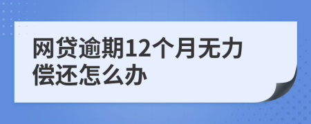 网贷逾期12个月无力偿还怎么办