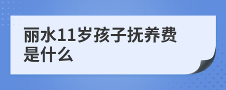 丽水11岁孩子抚养费是什么