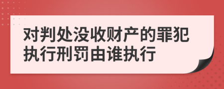 对判处没收财产的罪犯执行刑罚由谁执行