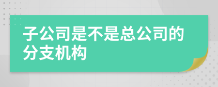 子公司是不是总公司的分支机构