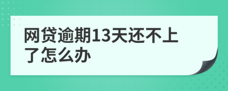 网贷逾期13天还不上了怎么办