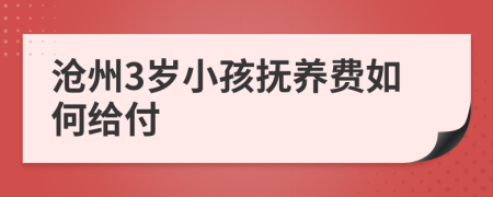 沧州3岁小孩抚养费如何给付