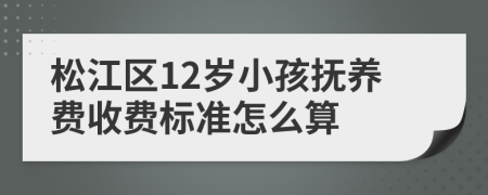 松江区12岁小孩抚养费收费标准怎么算