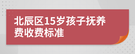 北辰区15岁孩子抚养费收费标准