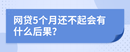 网贷5个月还不起会有什么后果？