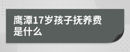 鹰潭17岁孩子抚养费是什么
