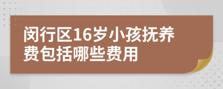 闵行区16岁小孩抚养费包括哪些费用