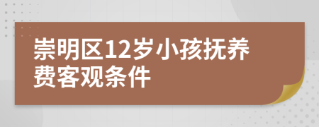 崇明区12岁小孩抚养费客观条件