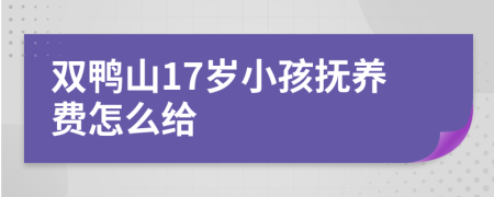 双鸭山17岁小孩抚养费怎么给