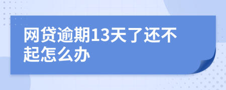 网贷逾期13天了还不起怎么办