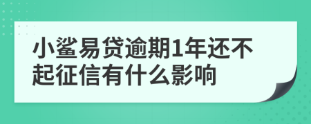 小鲨易贷逾期1年还不起征信有什么影响