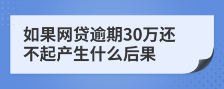 如果网贷逾期30万还不起产生什么后果