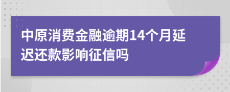 中原消费金融逾期14个月延迟还款影响征信吗