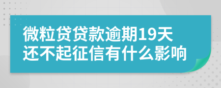 微粒贷贷款逾期19天还不起征信有什么影响