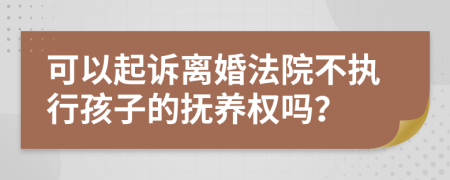 可以起诉离婚法院不执行孩子的抚养权吗？