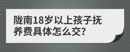 陇南18岁以上孩子抚养费具体怎么交？