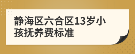 静海区六合区13岁小孩抚养费标准