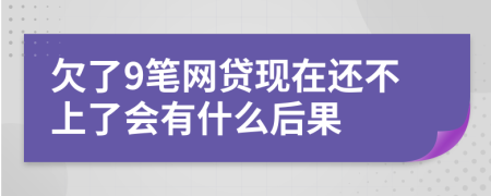 欠了9笔网贷现在还不上了会有什么后果