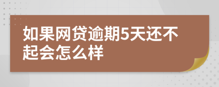 如果网贷逾期5天还不起会怎么样