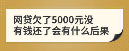 网贷欠了5000元没有钱还了会有什么后果