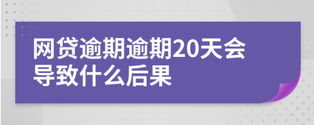 网贷逾期逾期20天会导致什么后果