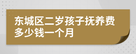 东城区二岁孩子抚养费多少钱一个月