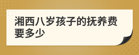 湘西八岁孩子的抚养费要多少