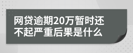 网贷逾期20万暂时还不起严重后果是什么