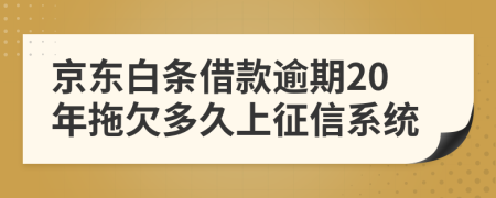 京东白条借款逾期20年拖欠多久上征信系统