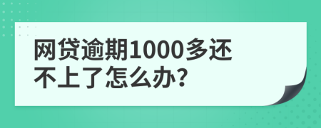 网贷逾期1000多还不上了怎么办？