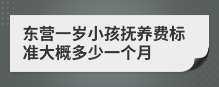 东营一岁小孩抚养费标准大概多少一个月