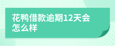花鸭借款逾期12天会怎么样